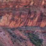 Profile photo of funtimes313